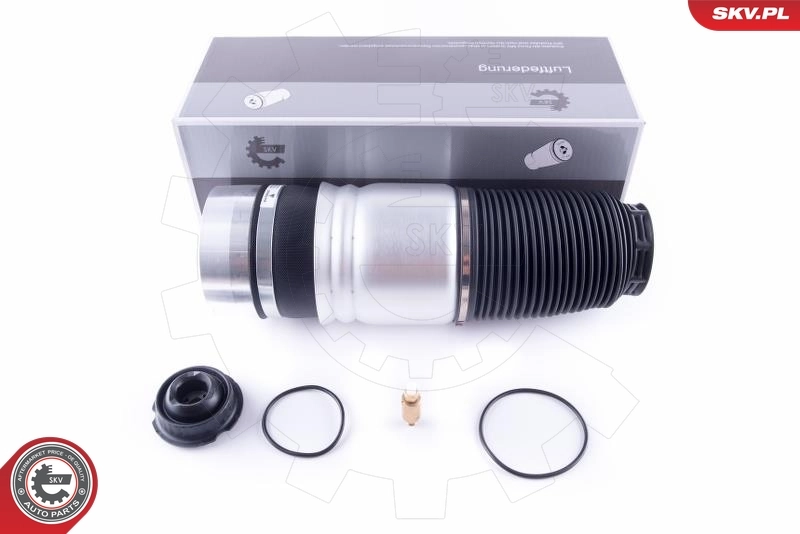Air Spring, suspension